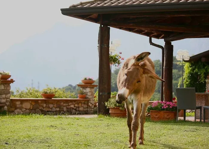 Фермерский дом Deviscio Лекко