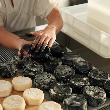 德维斯希欧农家乐