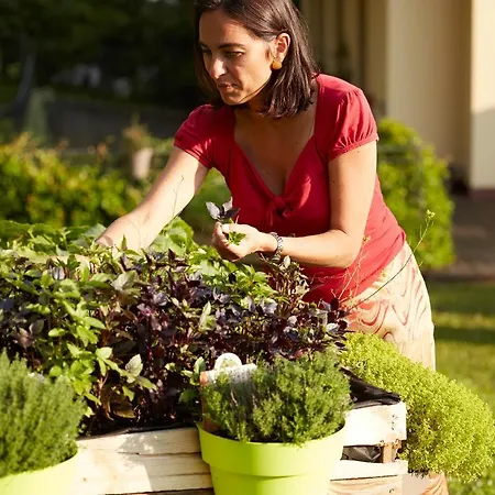 德维斯希欧农家乐