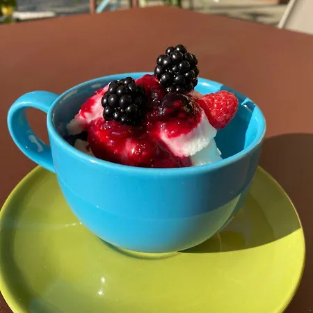 农家乐 德维斯希欧农家乐 莱科