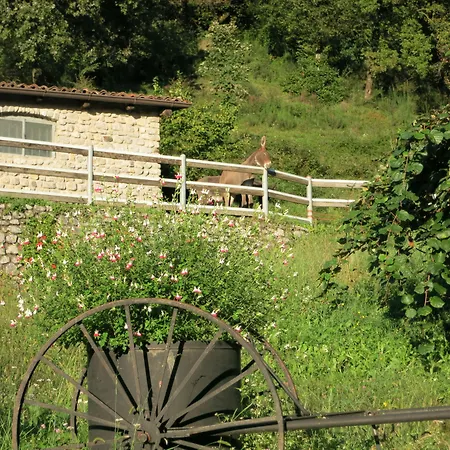 德维斯希欧农家乐 莱科