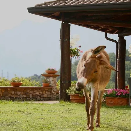 Séjour à la ferme Deviscio Lecco