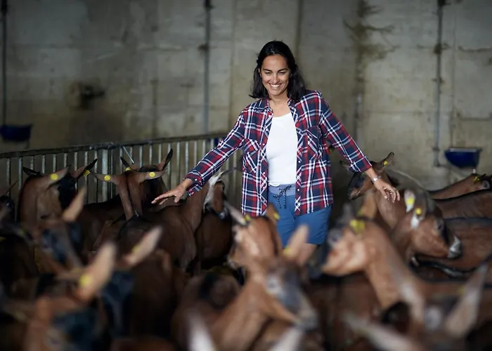 בית חווה Deviscio