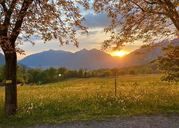 팜스테이 Deviscio